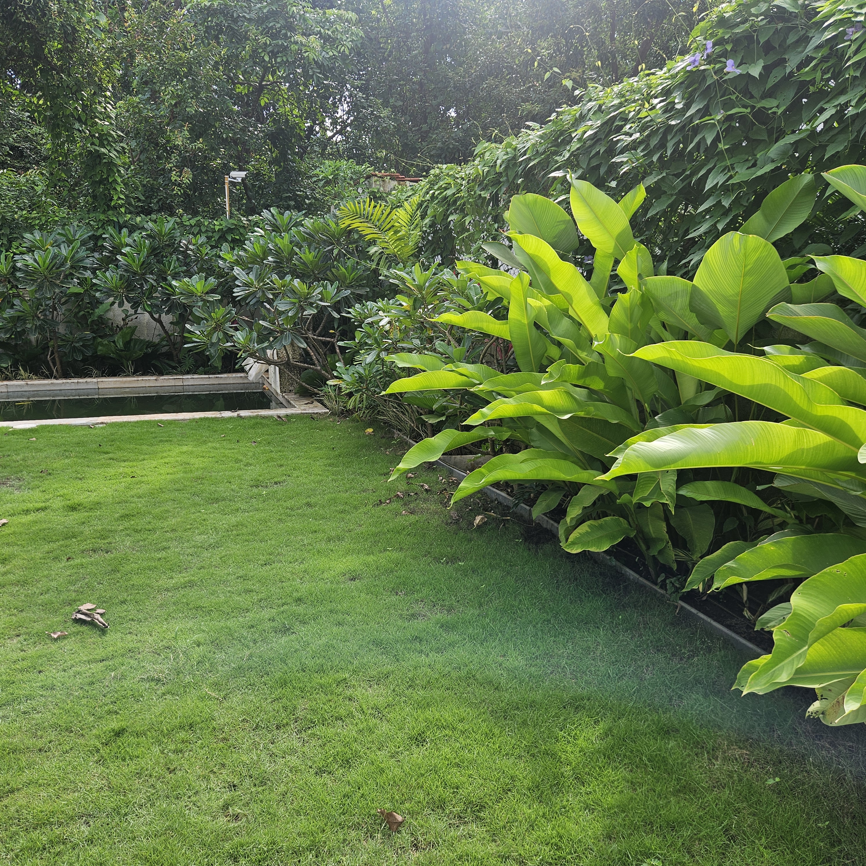 Tropical landscape design at Siolim Isprava villa with curated garden elements